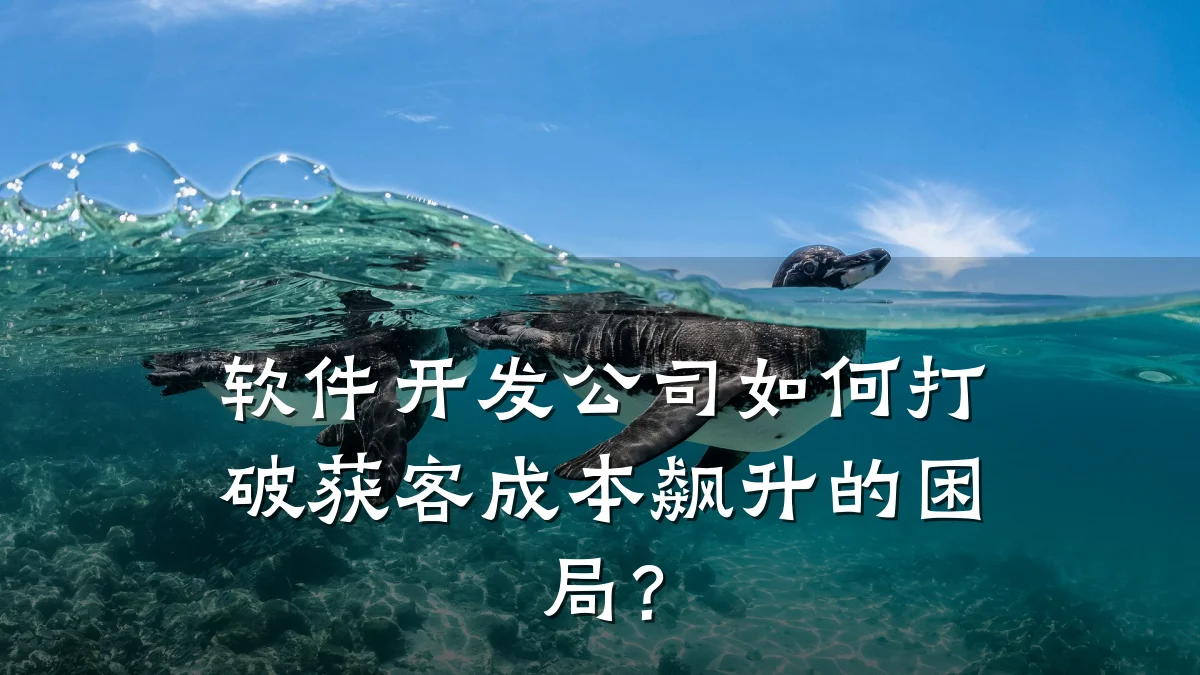 软件开发公司如何打破获客成本飙升的困局?