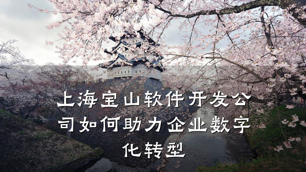 上海宝山软件开发公司如何助力企业数字化转型