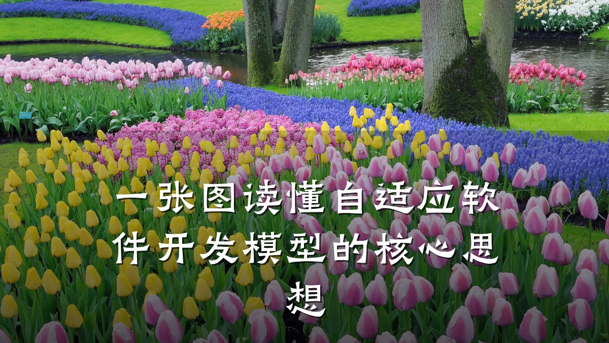 一张图读懂自适应软件开发模型的核心思想