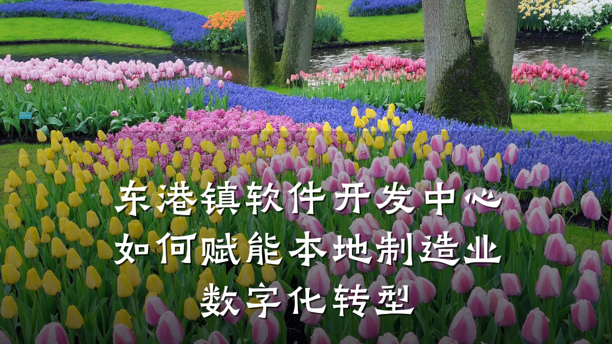 东港镇软件开发中心如何赋能本地制造业数字化转型