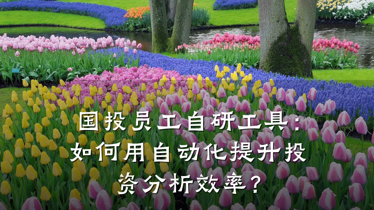 国投员工自研工具:如何用自动化提升投资分析效率?