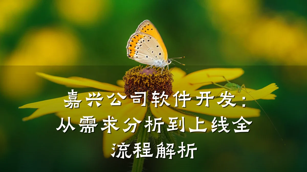 嘉兴公司软件开发:从需求分析到上线全流程解析
