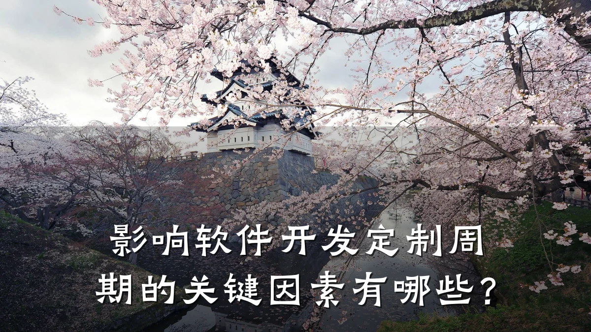 影响软件开发定制周期的关键因素有哪些?
