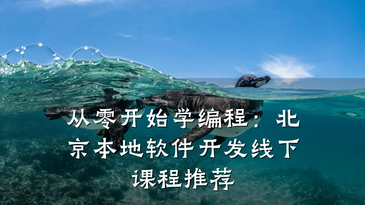 从零开始学编程：北京本地软件开发线下课程推荐