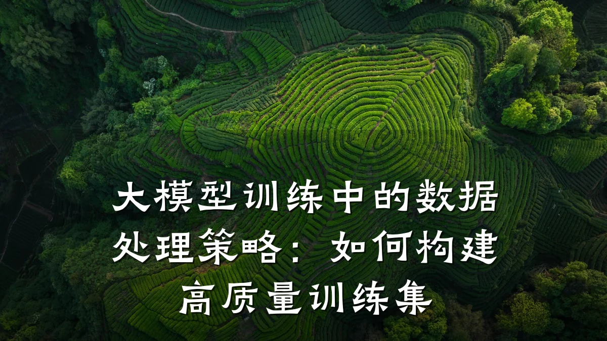 大模型训练中的数据处理策略:如何构建高质量训练集