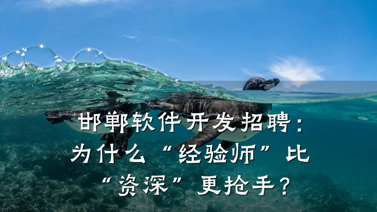 邯郸软件开发招聘:为什么“经验师”比“资深”更抢手?