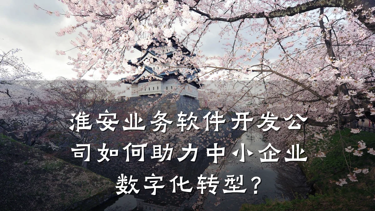 淮安业务软件开发公司如何助力中小企业数字化转型？