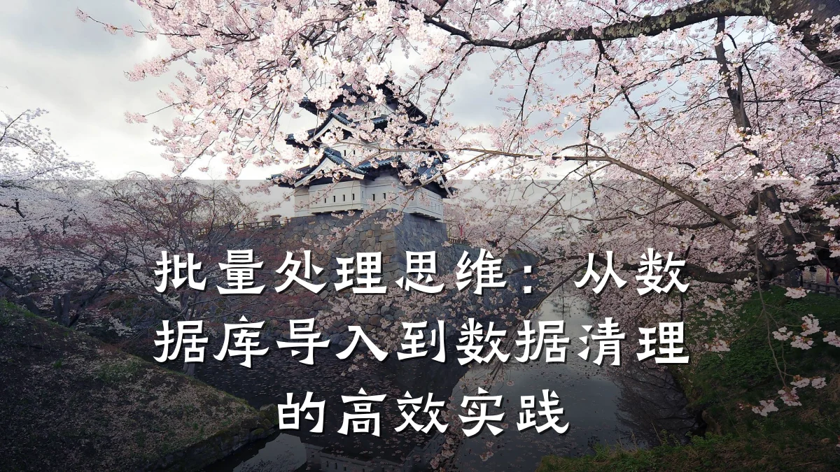 批量处理思维:从数据库导入到数据清理的高效实践