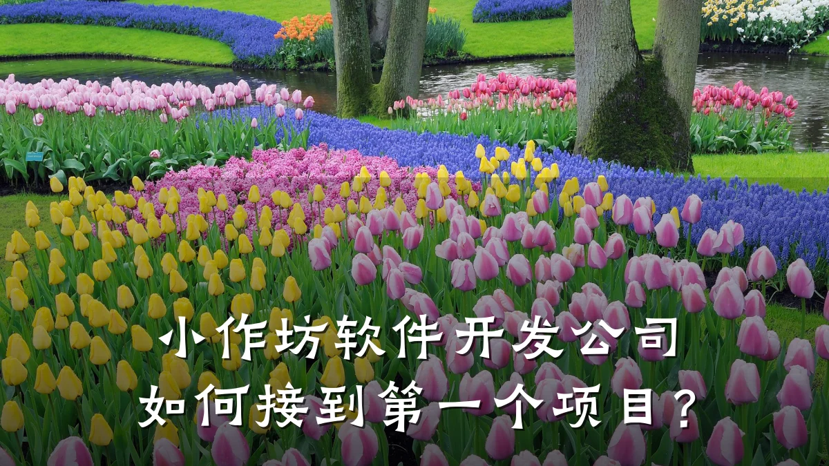 小作坊软件开发公司如何接到第一个项目?